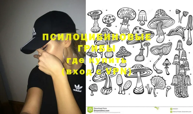 Галлюциногенные грибы MAGIC MUSHROOMS  как найти закладки  Избербаш 